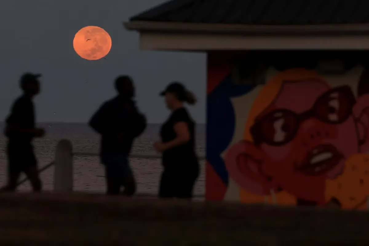 WhatsApp Image 2025-03-14 at 09.28.46