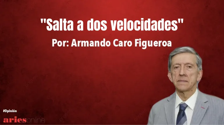 columnas (23)
