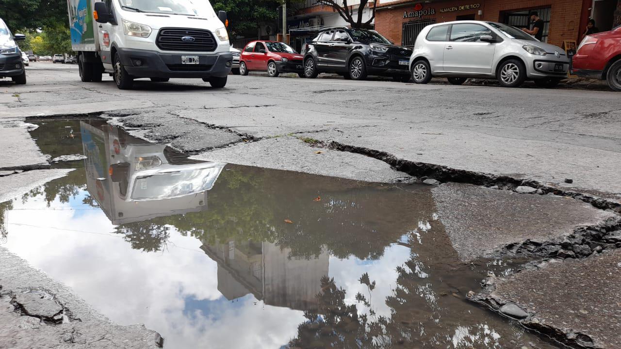 bache alvear