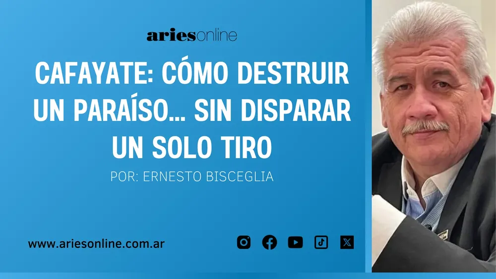Frases políticos Mundialista (3)