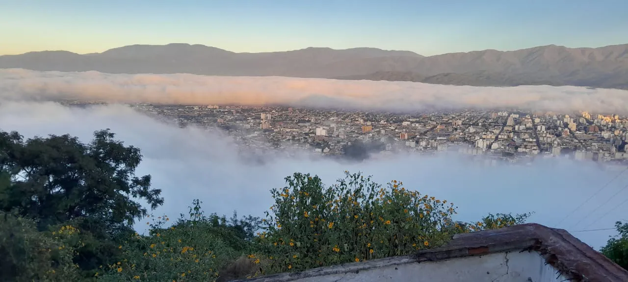 WhatsApp Image 2024-05-08 at 08.07.07