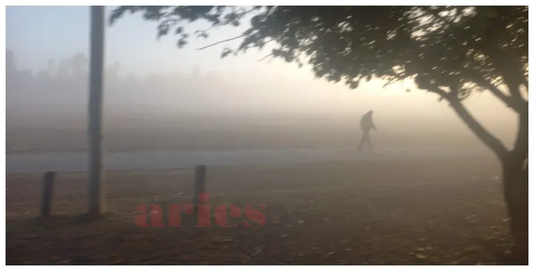 niebla salta (1)