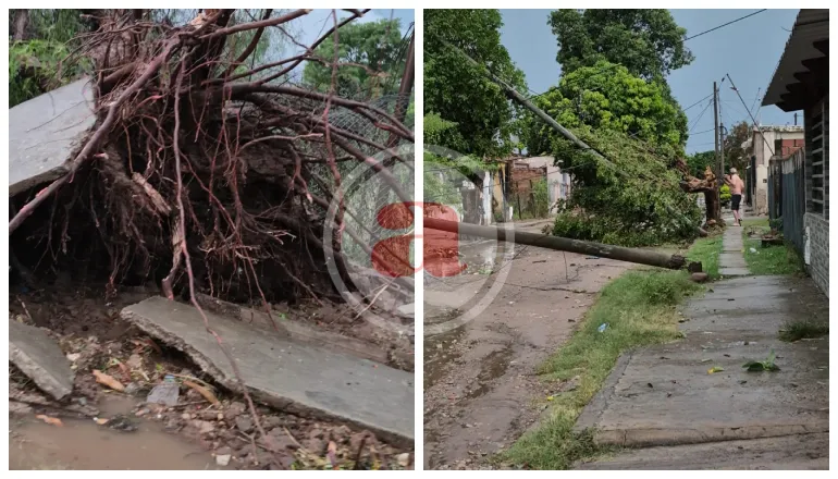 temporal colonia santa rosa