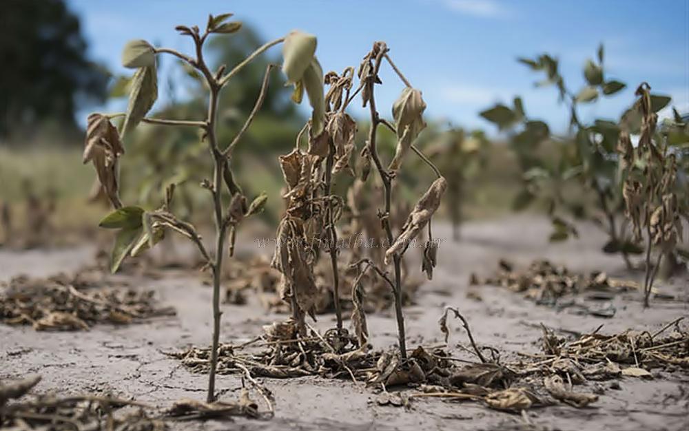 sequía