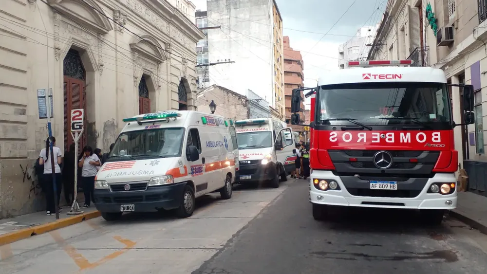 WhatsApp Image 2024-11-07 at 17.38.35