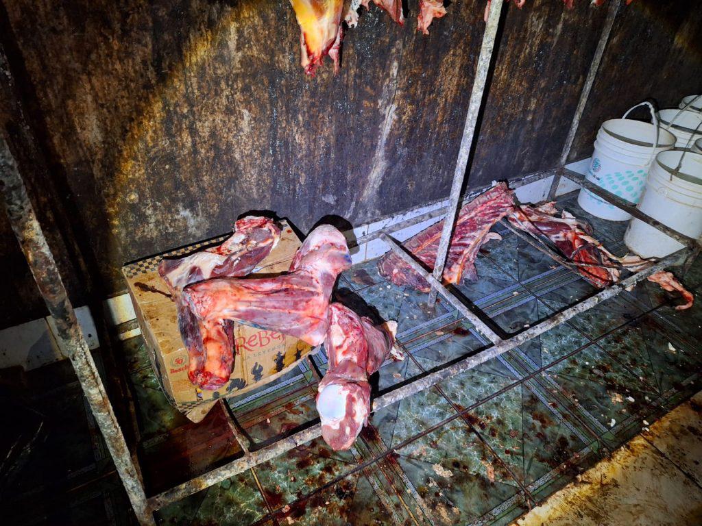 Imagen-de-WhatsApp-2024-01-16-a-las-15.03.42_1a4460f9-1024x768