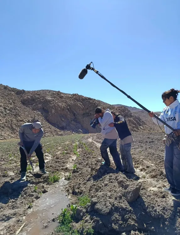 WhatsApp Image 2026-01-12 at 10.05.46