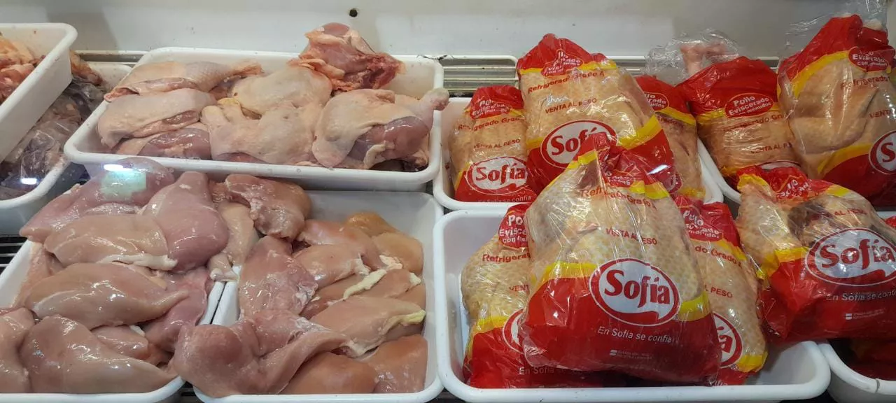 WhatsApp Image 2023-03-29 at 10.20.40