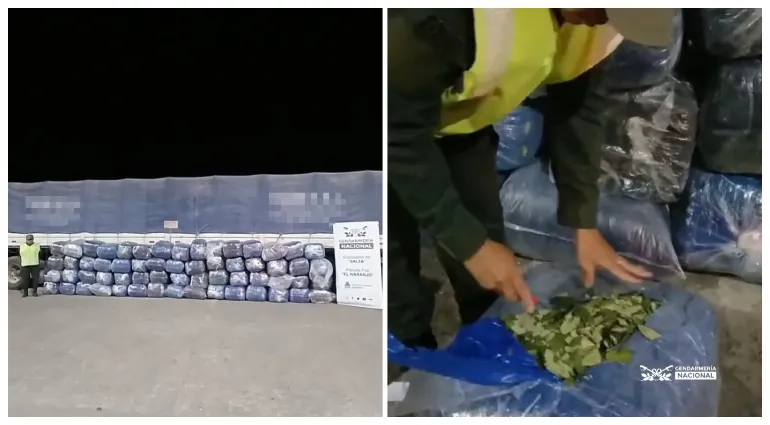 cargamento de hojas de coca