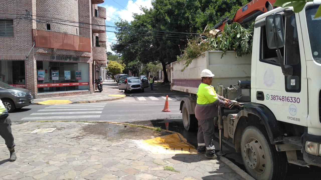 WhatsApp Image 2024-01-15 at 13.50.37