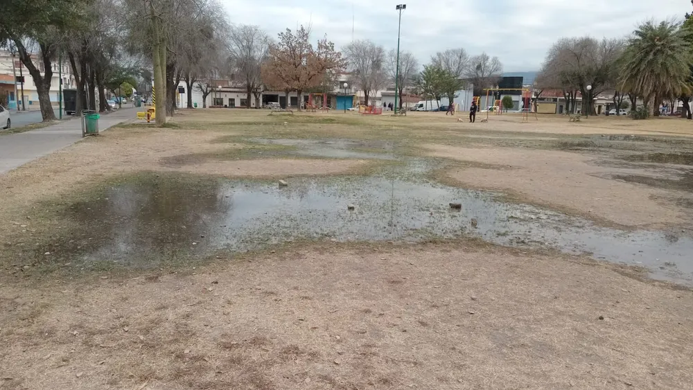 WhatsApp Image 2025-07-17 at 09.05.28