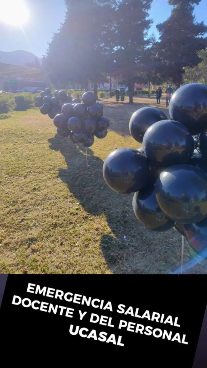 WhatsApp Image 2024-09-02 at 10.30.29 (1)