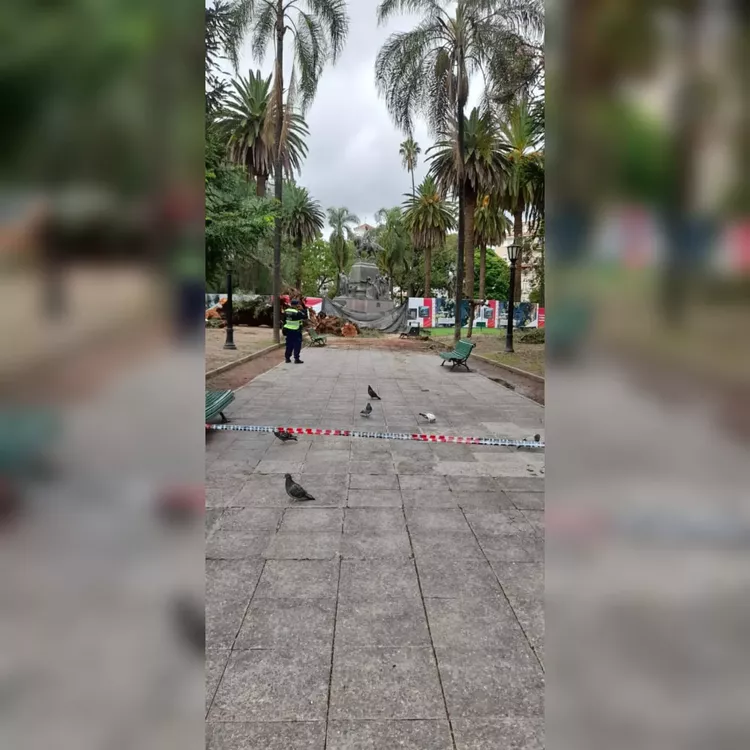 WhatsApp Image 2023-03-27 at 12.57.14