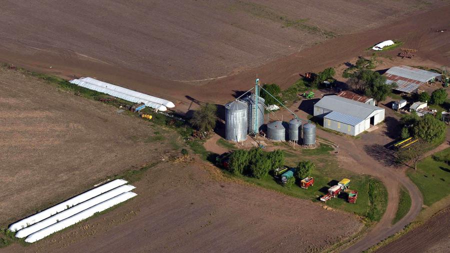 Gobierno confirmó estudiar medida para incentivar al agro liquidar soja