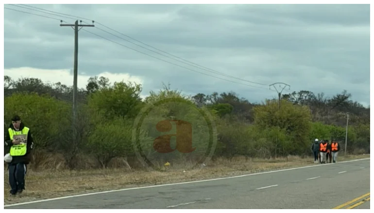 PEREGRINOS EN RUTA (2)