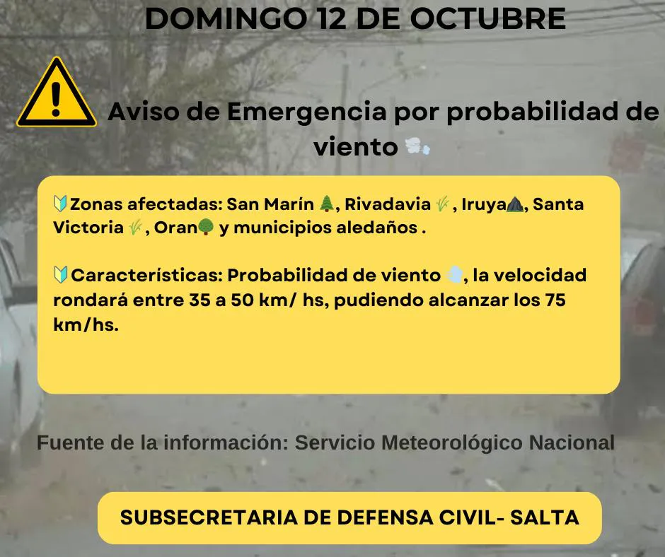 WhatsApp Image 2025-10-12 at 08.11.24