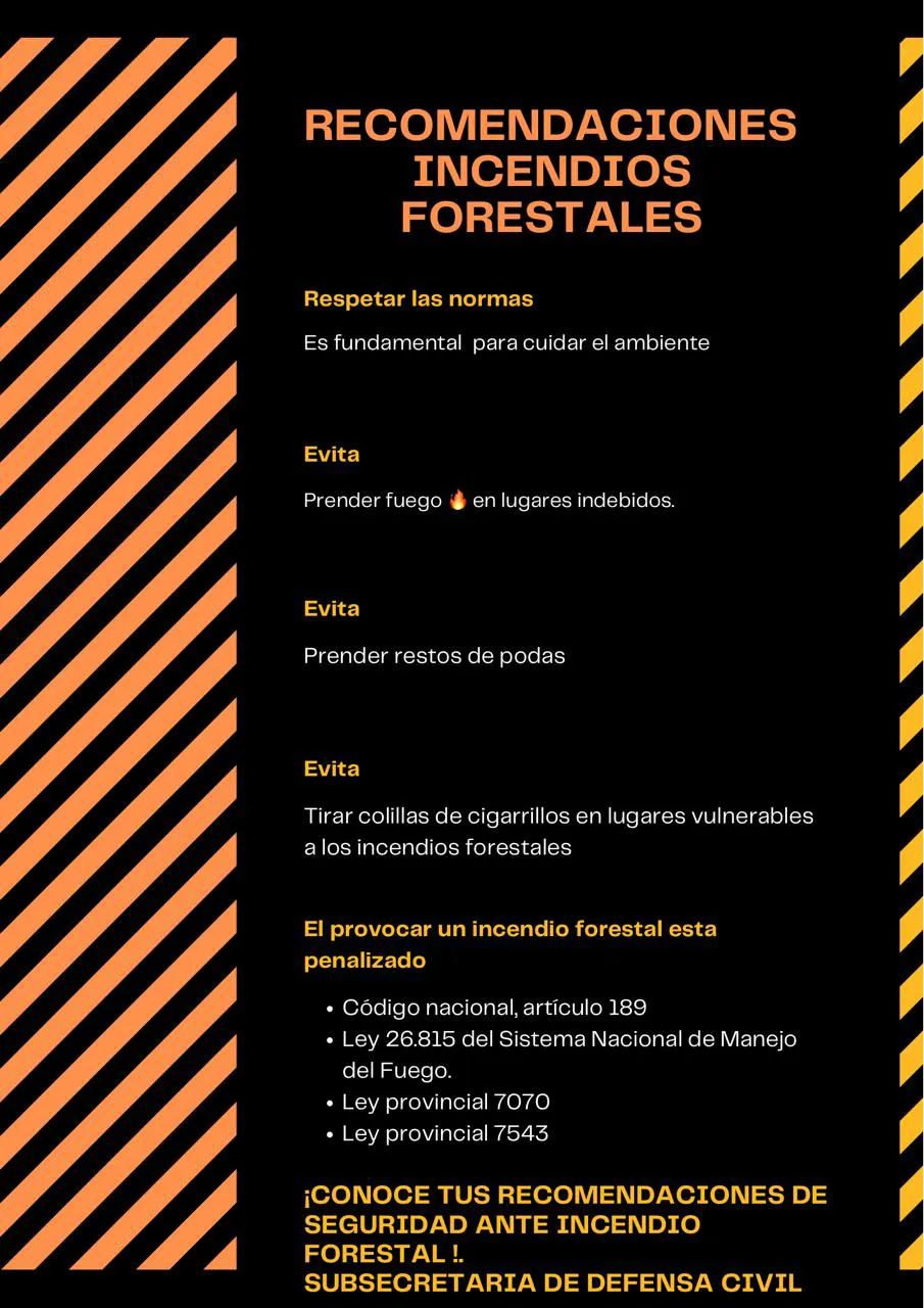 WhatsApp Image 2025-07-31 at 12.59.42