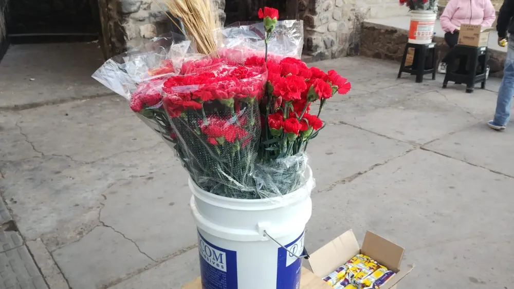 WhatsApp Image 2024-08-02 at 08.24.49