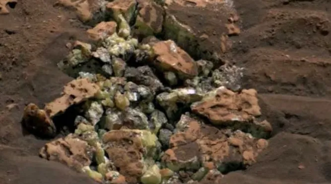 WhatsApp Image 2024-11-26 at 07.42.15