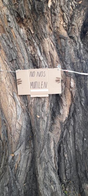 arbol shopping