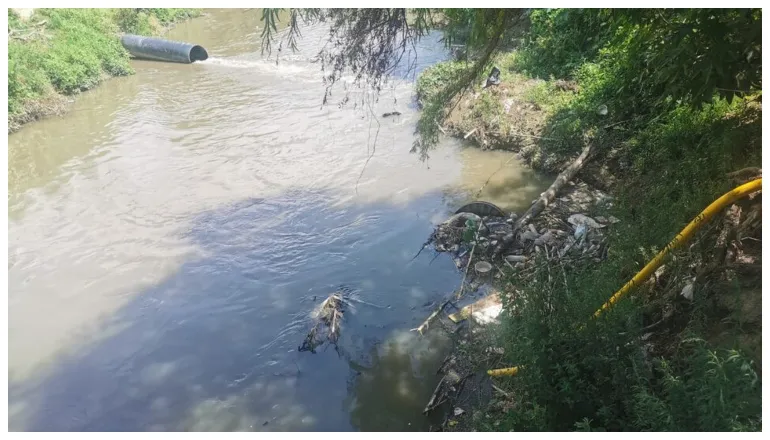 contaminación río arenales