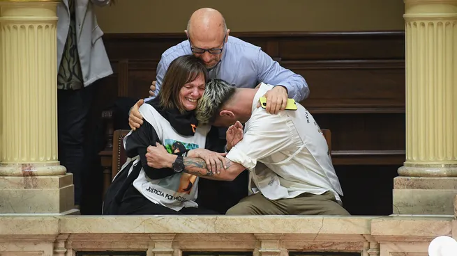 ley-nicolas-senado