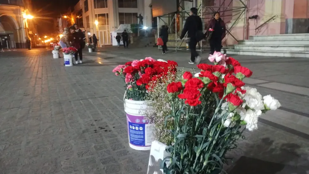 claveles milagro 2024