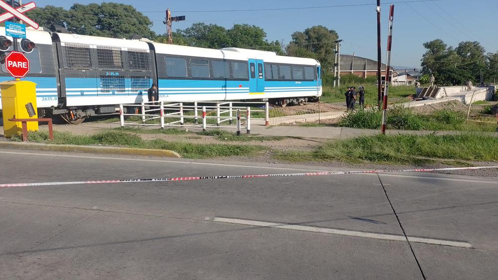 WhatsApp Image 2024-01-08 at 08.29.44