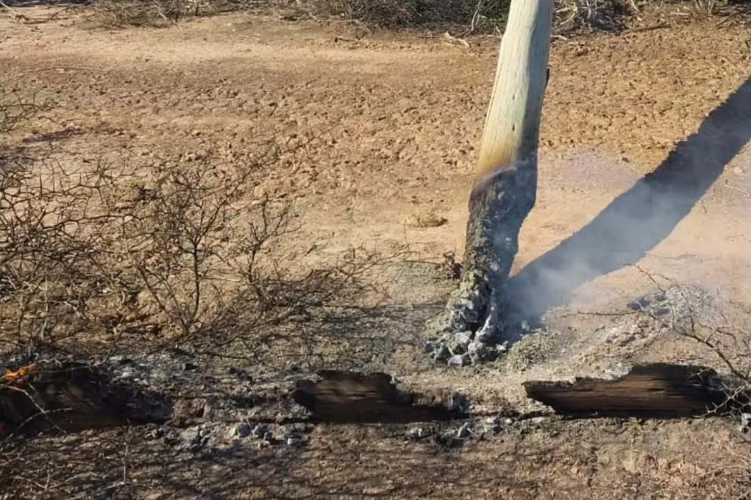 DENUNCIA - Incendios intencionales afectaron el servicio eléctrico en el norte provincialDurant