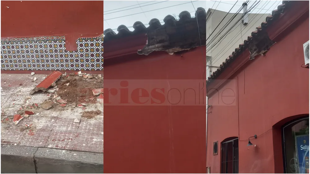 InShot_20241208_132428668