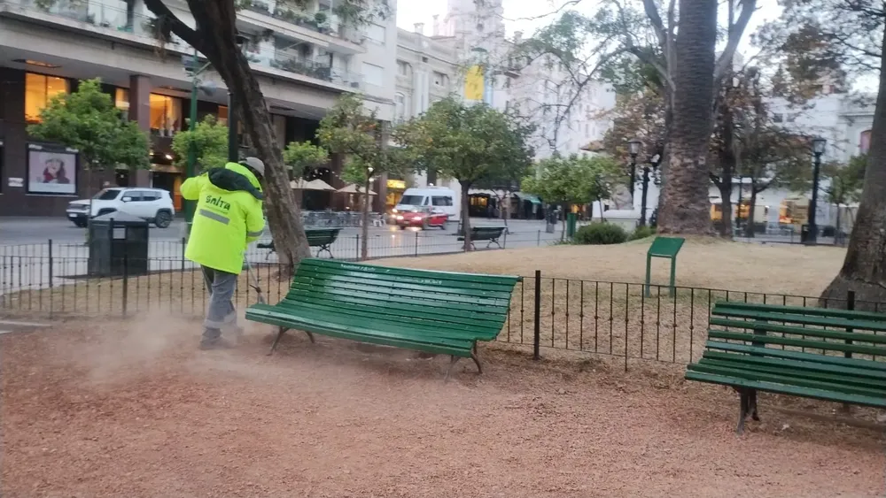 WhatsApp Image 2024-09-16 at 07.19.46