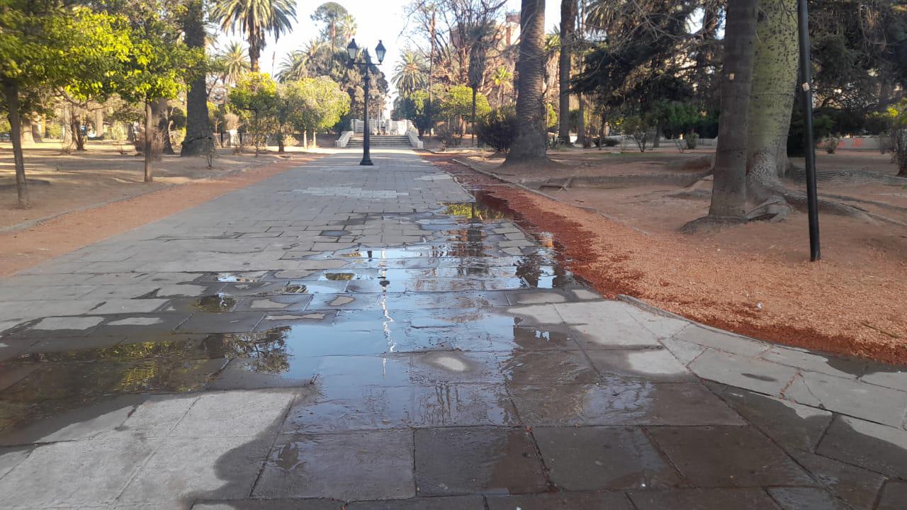 WhatsApp Image 2022-09-23 at 08.31.35