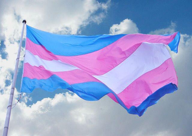 bandera transi