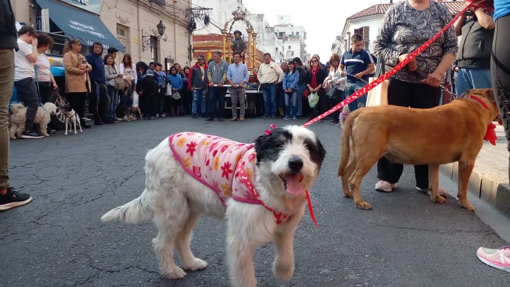 San Roque 2