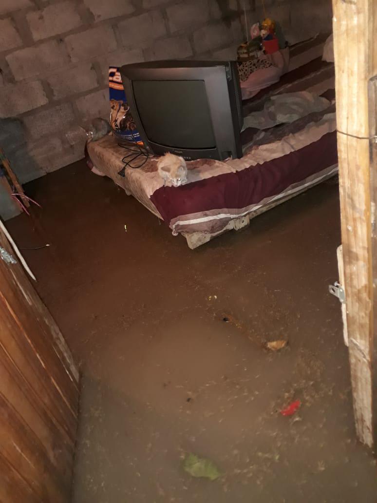 WhatsApp Image 2024-01-17 at 03.37.15