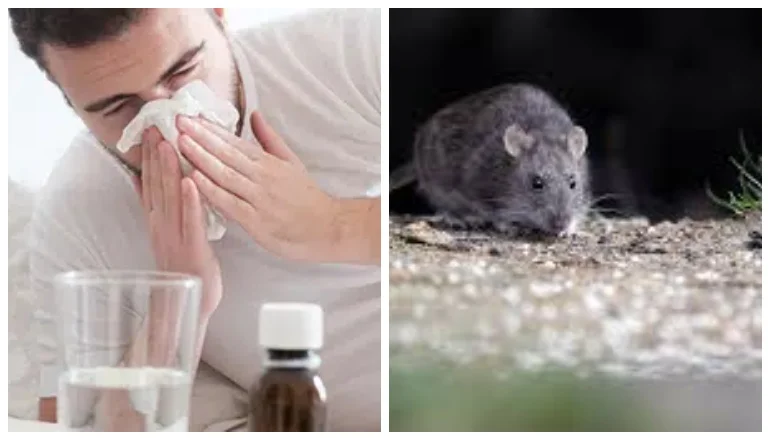 inlfuenza y hantavirus