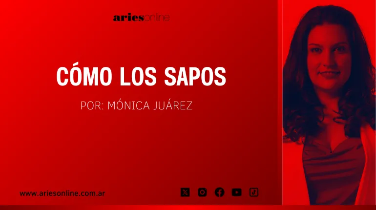 Martes