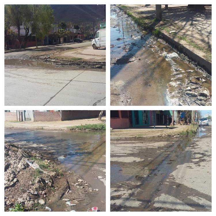 BeFunky-collage floresta