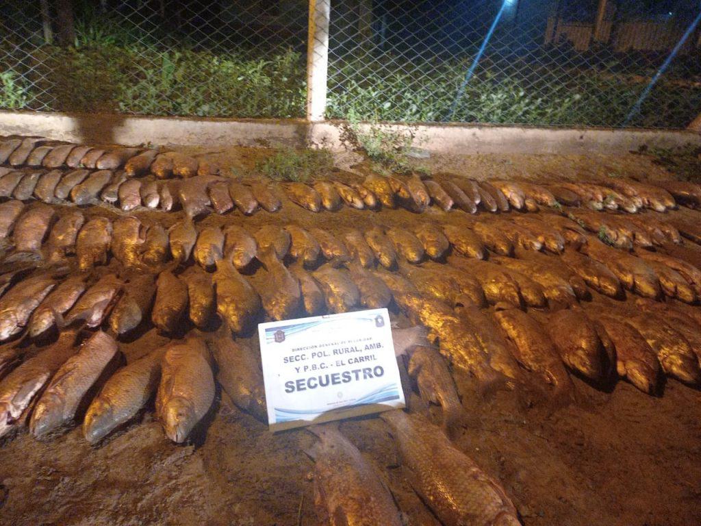 peces-1-1024x768