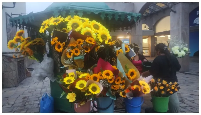 flores amarillas