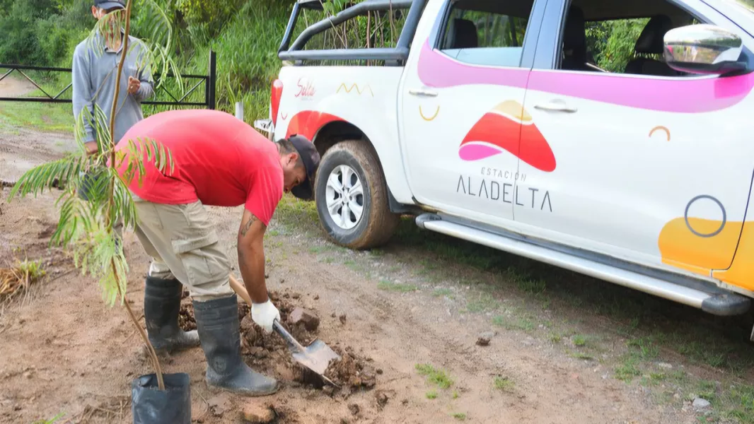 15597-teleferico-san-bernardo-continua-con-el-plan-de-forestacion-y-reforestacion-en-los-cerros-san-bernardo-y-aladelta