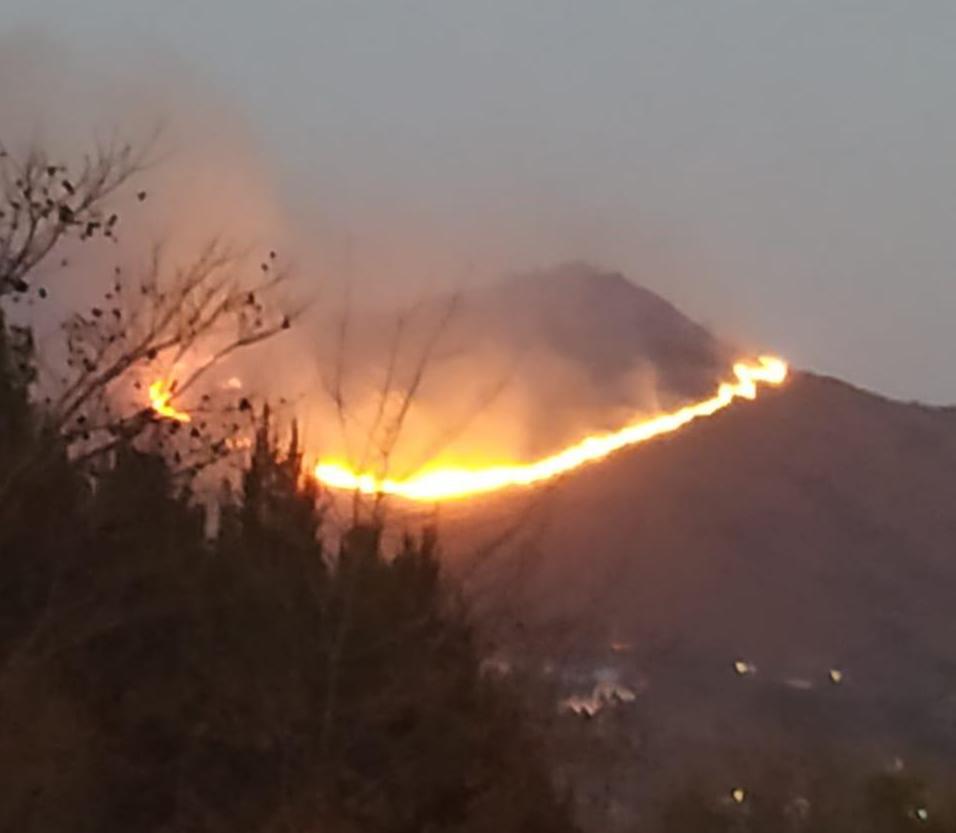 fuego