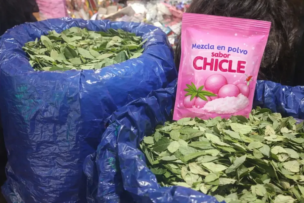 ChatGPT Image 3 feb 2026, 11_17_07 a.m.