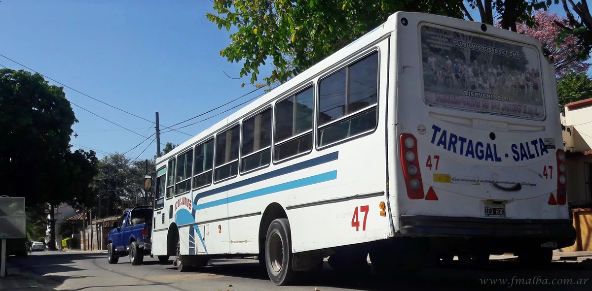 13-de-junio-colectivo