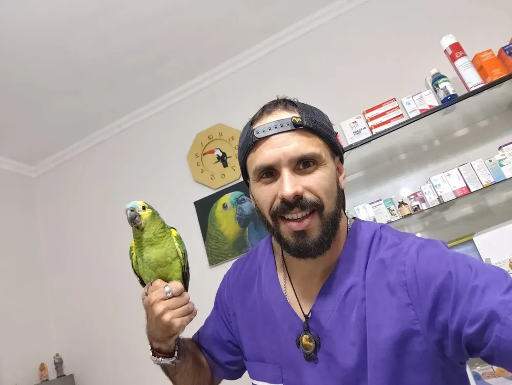 Veterinario animales silvestres