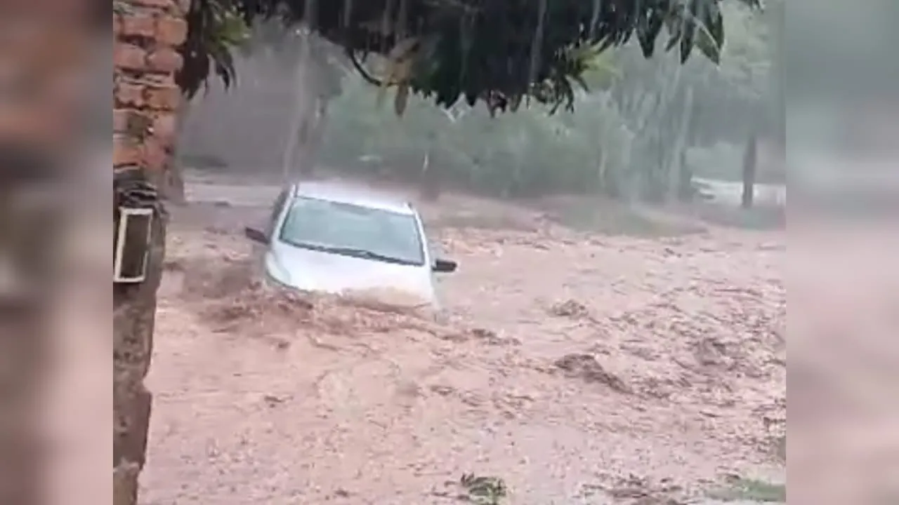 temporal la viña