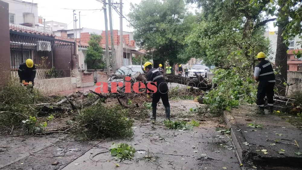 WhatsApp Image 2024-11-08 at 10.18.09