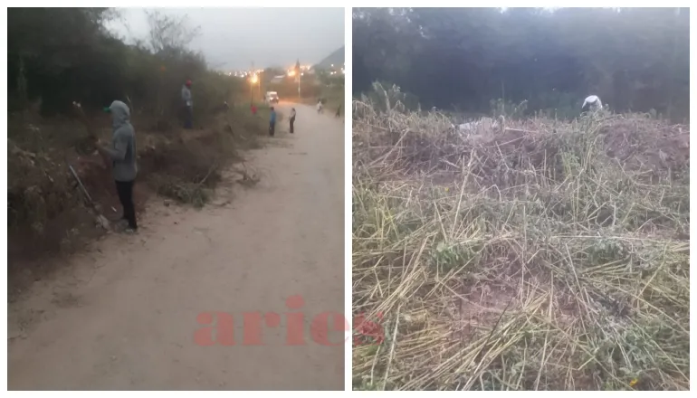 toma terrenos autódromo