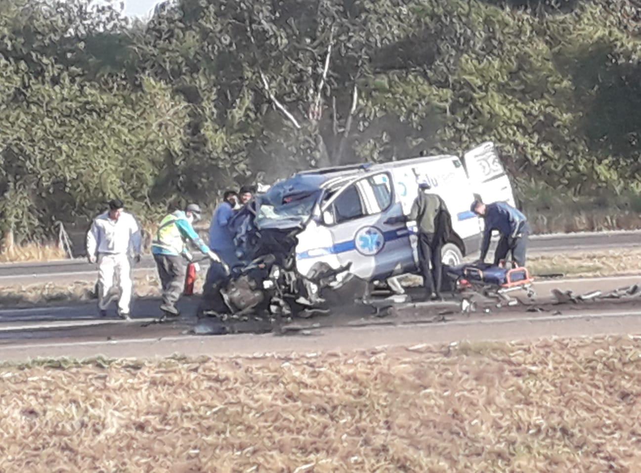 WhatsApp Image 2022-11-15 at 08.03.16