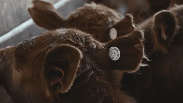 captura_de_pantalla_297-213640